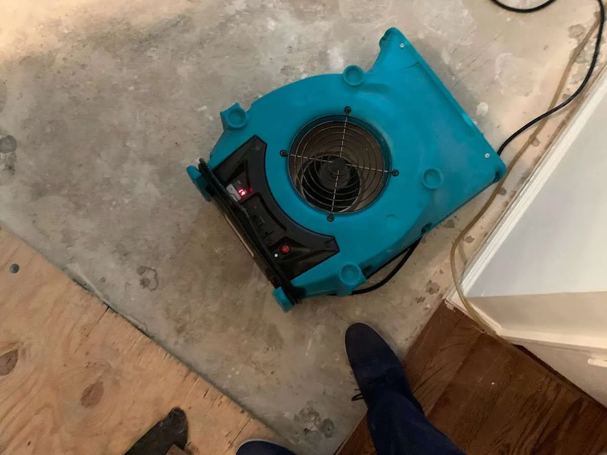 Air mover drying subfloor during Commercial Water Damage Restoration in Brighton